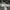VANS Streetwear Casual Casual shoe Pria white black photo 1
