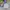 Luxury Casual Baju bayi Kids white photo 3
