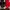 Adidas Casual Track jacket Pria black red photo 1