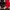 Adidas Casual Track Jacket Pria Black Red