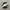Puma Casual Sneakers Pria white black photo 1