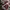 Vans Skater Sneakers Pria burgundy photo 4