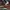 Vans Skater Sneakers Pria burgundy photo 5
