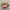 Puma Casual Sneakers Wanita pink photo 1