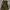 Forever 21 Vintage Indie Bodycon Dress Wanita Green