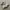 Asics Casual Sneakers Pria white black photo 1