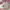 Adidas Sportswear Sneakers Wanita multicolor photo 6