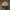 Vintage Streetwear Hat Pria Green Khaki