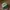 Vintage Streetwear Hat Pria green khaki photo 3