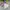 Casual T-shirt Kids white photo 4