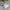 Casual T-shirt Kids white photo 1