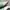Adidas Casual Sneakers Pria multicolor white photo 2
