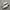 Adidas Casual Sneakers Pria Multicolor White