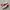 Adidas Casual Sneakers Pria multicolor photo 1