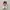 Adidas Casual Sneakers Pria multicolor photo 3