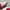 Adidas Casual Sneakers Pria multicolor photo 2