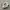 Adidas Casual Sneakers Pria multicolor white photo 1