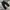 Supreme Streetwear Skater Jeans Pria black photo 1