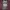 Crocodile Streetwear Sweatshirt Pria multicolor photo 1