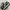 Converse Streetwear Sneakers Pria White Black