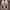Nike Streetwear Sportswear Sneakers Wanita multicolor photo 2