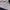 Champion Casual Polo shirt Pria white navy photo 6