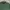 Beverly Hills Polo Club Casual Polo shirt Pria green photo 1