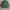 Beverly Hills Polo Club Casual Polo shirt Pria green photo 2
