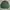 Beverly Hills Polo Club Casual Polo Shirt Pria Green