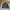 Casual Harrington jacket Pria multicolor photo 1