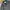 Casual Harrington jacket Pria multicolor photo 4