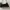 Charles and Keith Casual Tote bag Wanita black photo 2