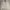 Nautica Vintage Y2K Harrington jacket Pria cream photo 1