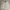 Nautica Vintage Y2K Harrington Jacket Pria Cream
