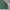 Casual Harrington jacket Pria green photo 2