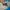 The North Face Streetwear Y2K Windbreaker Pria multicolor photo 3