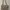 Steve Madden Luxury Shoulder bag Wanita cream photo 1