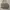 Steve Madden Luxury Shoulder bag Wanita cream photo 2