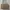 Steve Madden Luxury Shoulder Bag Wanita Cream