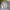 Casual Harrington jacket Pria multicolor photo 6