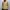 Japanese brand Casual Casual shirt Pria tan brown photo 3