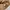 Japanese brand Casual Casual shirt Pria tan brown photo 7