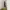 Calvin Klein Casual Harrington jacket Pria multicolor photo 5