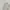 Beverly Hills Polo Club Streetwear Casual Sweatshirt Pria gray photo 2