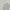 Beverly Hills Polo Club Streetwear Casual Sweatshirt Pria Gray
