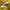 Nike Grunge Casual Sneakers Pria white yellow photo 1