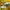 Nike Grunge Casual Sneakers Pria White Yellow
