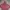 Vintage Hoody Pria pink photo 2