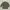 Lowrys Farm Casual Trench coat Pria multicolor green photo 6