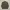 Lowrys Farm Casual Trench coat Pria multicolor green photo 3